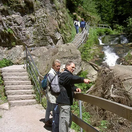 Flair Adlerbad Hotel