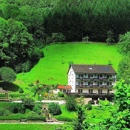 Hotel Flair Adlerbad Bad Peterstal-Griesbach