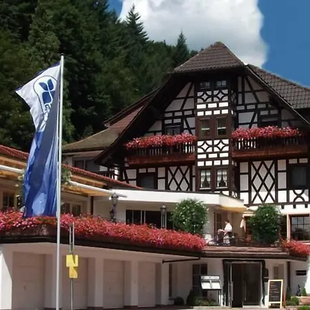 Hotel Flair Adlerbad 3*